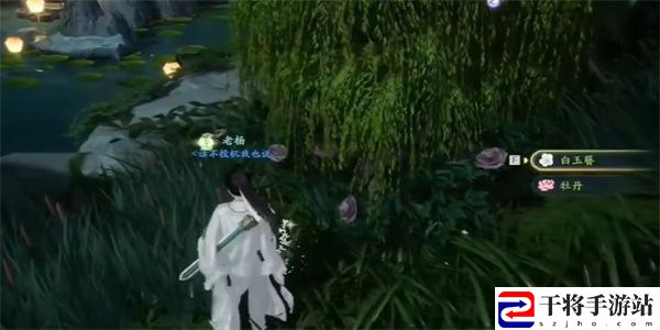 射雕白玉簪收集方法 射雕白玉簪怎么收集