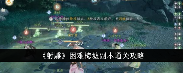 射雕困难梅墟副本通关攻略 射雕困难梅墟副本怎么通关