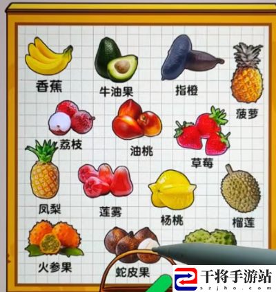 爆梗找茬王水果大亨通关技巧