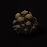 黑神话：悟空猴头菌怎么获得：游戏活动全解析