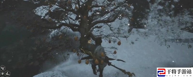 黑神话：悟空交梨怎么获得：宠物技能升级材料获取
