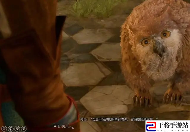 博德之门3驯服枭熊方法介绍 以提升自己的综合战斗能力
