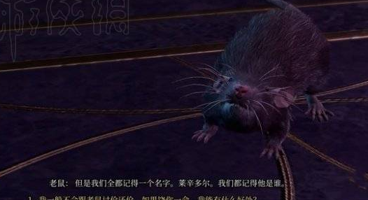 博德之门3老鼠完全打完方法介绍 攻略分享特性