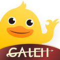 在机场