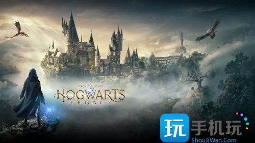 霍格沃茨之遗d加密怎么回事-d加密配置介绍