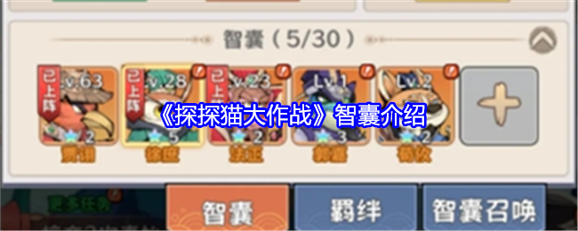 探探猫大作战智囊介绍：副本高分技巧与评分机制