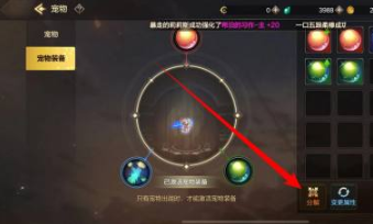 地下城与勇士：起源宠物装备分解攻略：副本速通与探索并重，效率与乐趣兼得