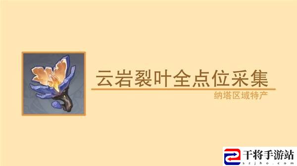 原神云岩裂叶在哪  74株云岩裂叶全点位采集攻略