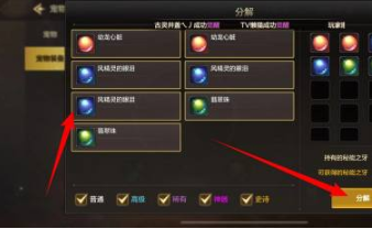 地下城与勇士：起源宠物装备分解攻略：副本速通与探索并重，效率与乐趣兼得