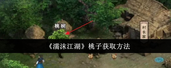 濡沫江湖桃子获取方法：稀有装备掉落全解析