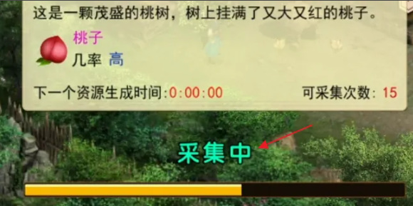 濡沫江湖桃子获取方法：稀有装备掉落全解析